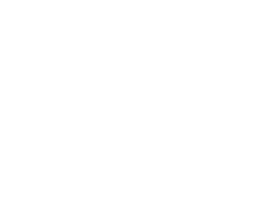 Agencija za Selidbe Plavi Slon